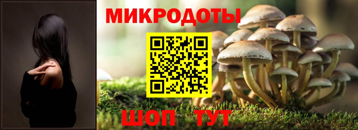 Псилоцибиновые грибы ЛСД  Вход с VPN  Удомля 
